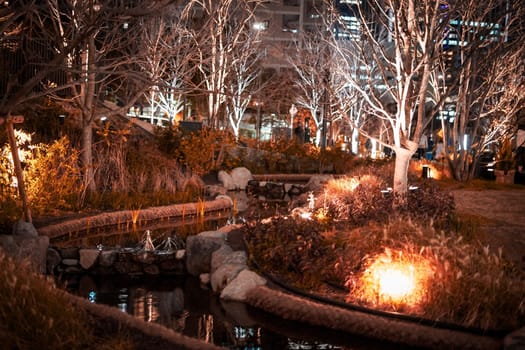 Tokyo park and night view. Shooting Location: Minato Ward, Tokyo