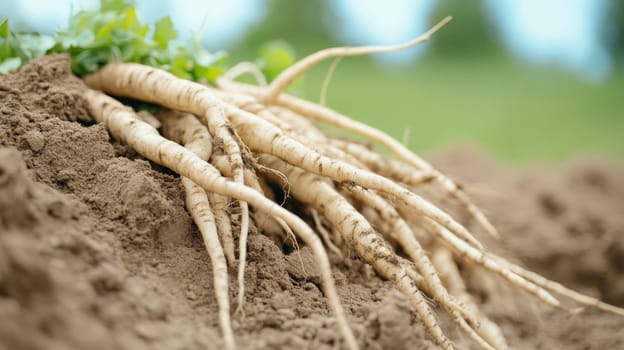 Fresh parsnips with green leaves on rustic wooden surface in natural light, AI generated