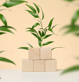 Wooden platform with green leaves on beige background, stage for advertising and product display