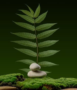Balancing stones on a background of soft green moss and green leaf, background for cosmetics, wellness brands or natural products, emphasizing eco-friendliness and premium style