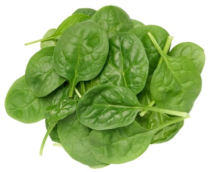 Bunch of fresh green spinach leaves on isolated background, top view