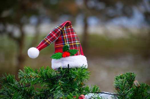 A red plaid Santa hat decoration adorns a green pine branch, evoking a cheerful holiday spirit in an outdoor setting.