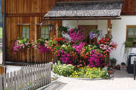 Blumen an einem Haus in den Dolomiten