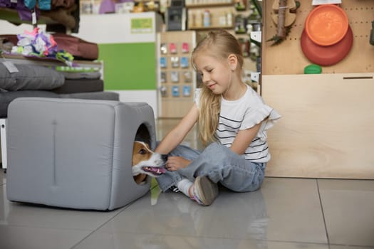 Portrait of cute little girl sitting on floor and dog hiding in new soft comfort house at pet shop. Retail shopping for domestic animal