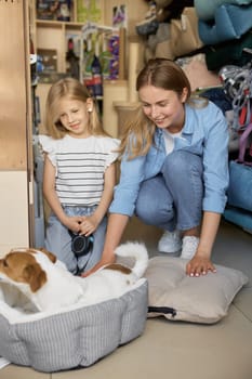 Happy mother and little daughter watching how adorable dog testing new sleeping bed at pet store