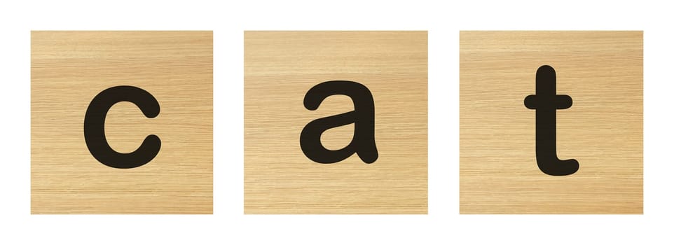 A cat word with wood blocks on white