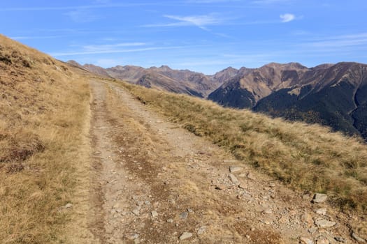 forest road in the Fagaras Mountains, Romania