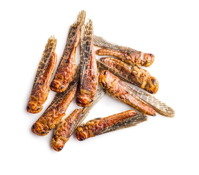 Crispy fried grasshoppers isolated on a white background. Insect protein.