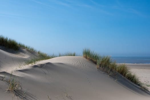 View over the dunes with beach grass towards the sea, on the North Sea coast in the Netherlands with a blue sky