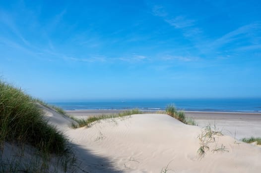 View over the dunes with beach grass towards the sea, on the North Sea coast in the Netherlands with a blue sky