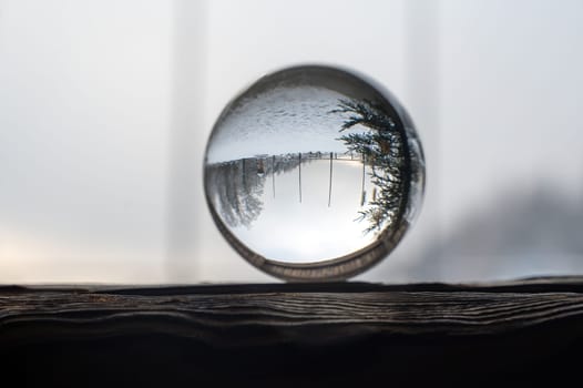 Glass ball on a wood on a cold winter day, with reflections of trees and snow in the glass