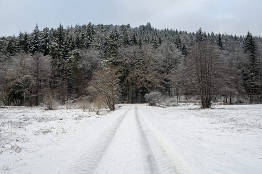 Field path  in a landscape with a lot of snow