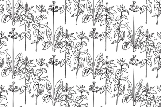 Black and white floral line art seamless pattern.Botanical plants and flowers vector illustration abstract background.Graphic design for fashion textile cover wrapping wedding invitation greeting card