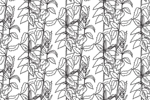 Black and white floral line art seamless pattern.Botanical plants and flowers vector illustration abstract background.Graphic design for fashion textile cover wrapping wedding invitation greeting card