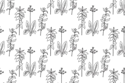 Black and white floral line art seamless pattern.Botanical plants and flowers vector illustration abstract background.Graphic design for fashion textile cover wrapping wedding invitation greeting card
