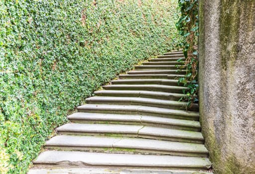 Old staircase in nature. Garden architecture design, green natural path with historic pavement