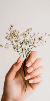 Elegant manicure closeup with neutral color nail polish, quiet luxury style, AI generated