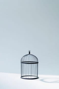 A simple, elegant birdcage casting a shadow on a light background, showcasing minimalist design and tranquility.