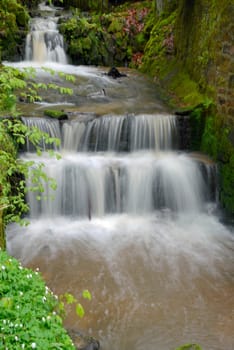 bach, wasser, fließen, fließend, frühling, wald, natur, frisch, trinkwasser, sauber, natürlich, sprudelnd, quellwasser, brunnen, quelle, quellwasser, frühjahr, baum
