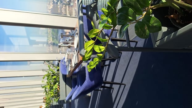 Bright modern restaurant dining space with panoramic city views and greenery.