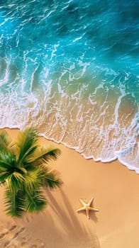 Golden sands of a beach meet the azure ocean waters, with a singular starfish and palm frond as serene highlights. Copy space for advertising, presentation product or text