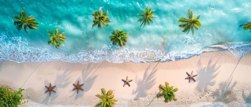 Aerial view of a sun-kissed beach with palm trees and starfish along the white foam of the sea. Copy space for advertising, presentation product or text