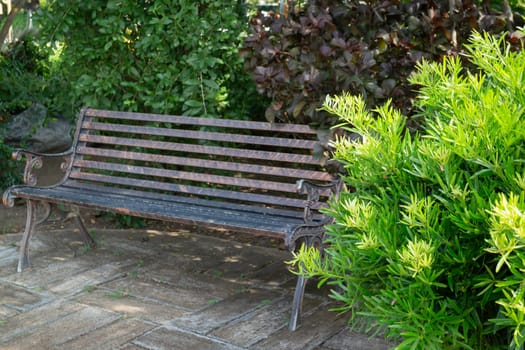 Single  empty public park bench, stock photo