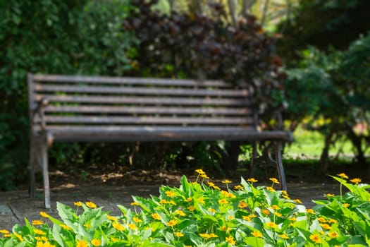 Single  empty public park bench, stock photo