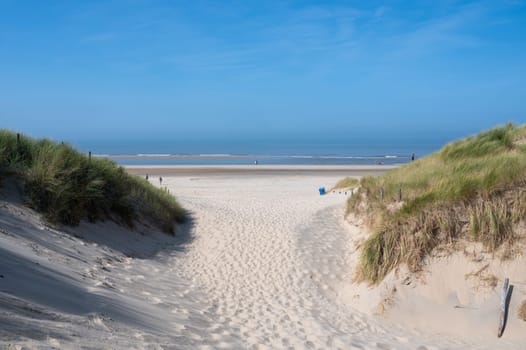 View over the dunes with beach grass towards the sea, on the North Sea coast in the Netherlands with a blue sky