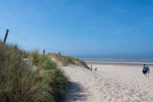 View over the dunes with beach grass towards the sea, on the North Sea coast in the Netherlands with people and a blue sky