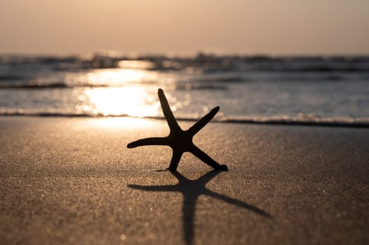 A starfish in the sand on a beach in front of the ocean waves at sunset