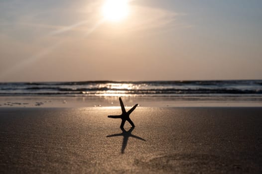 A starfish in the sand on a beach in front of the ocean waves at sunset