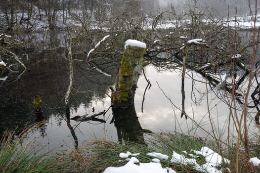 A tree trunk  in the water of a lake, covered with snow and with reflections in the water