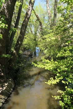 Rodau bei Muehlheim am Main