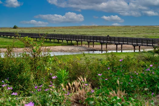 A bridge spans a river in a lush green field. The bridge is wooden and spans the entire width of the river. The field is full of wildflowers and grass, creating a serene and peaceful atmosphere