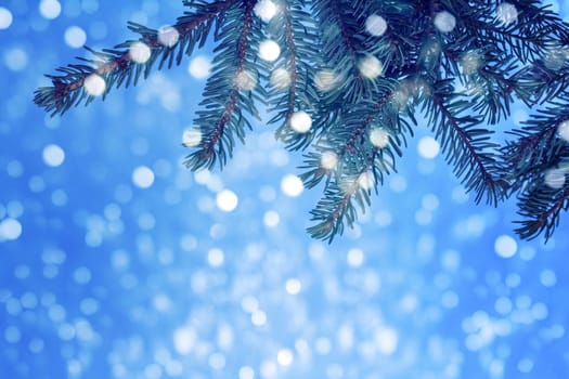 Christmassy blue background with fir branches and glittering snowflakes