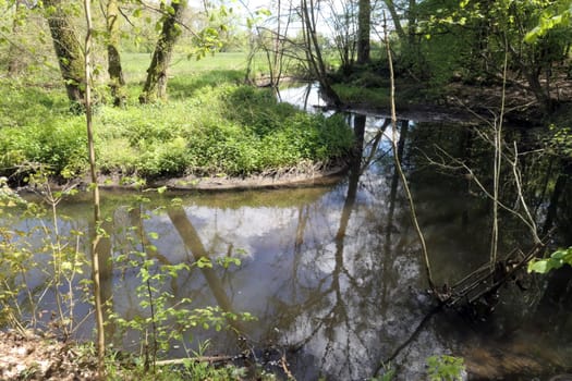 Rodau bei Laemmerspiel