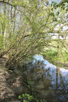 Rodau bei Laemmerspiel