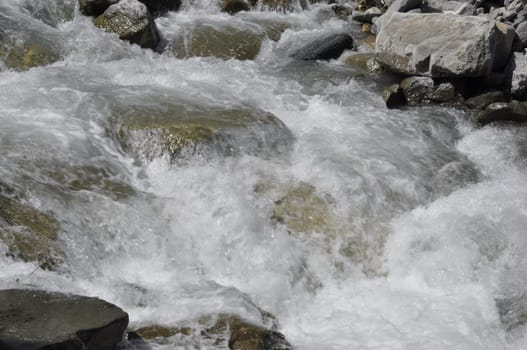 Mountain stream in the Alps