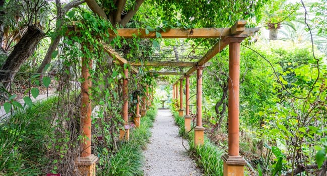 Romantic garden walkway forming a green tunnel, springtime