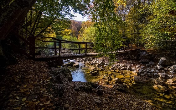 A bridge over a creek in the woods. A wooden bridge.
