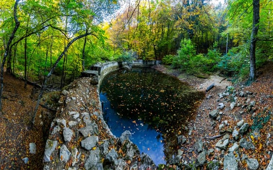 Mountain small river in the forest with rapids and waterfalls. A forest creek.