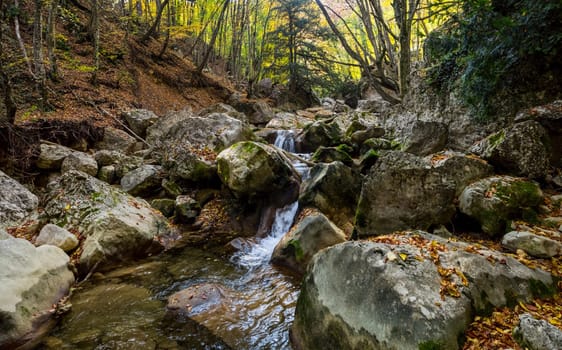 Mountain small river in the forest with rapids and waterfalls. A forest creek.