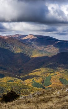 Mountains and forests of Crimea. coniferous and deciduous trees on the hills of the mountains and rocks