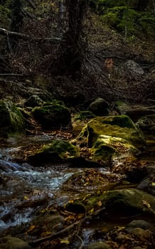 Mountain small river in the forest with rapids and waterfalls. A forest creek.