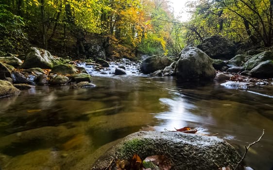 Mountain small river in the forest with rapids and waterfalls. A forest creek.