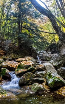 Mountain small river in the forest with rapids and waterfalls. A forest creek.