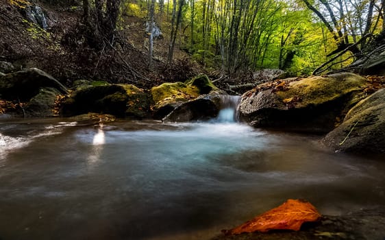 Mountain small river in the forest with rapids and waterfalls. A forest creek.