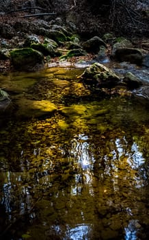 Mountain small river in the forest with rapids and waterfalls. A forest creek.