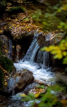 Mountain small river in the forest with rapids and waterfalls. A forest creek.